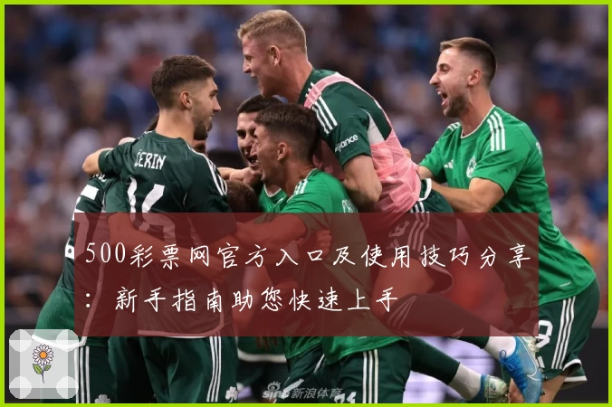 500彩票网官方入口及使用技巧分享：新手指南助您快速上手