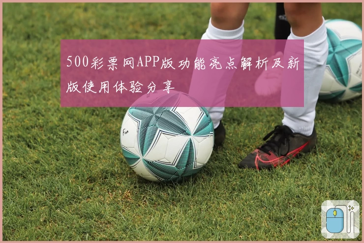 500彩票网APP版功能亮点解析及新版使用体验分享